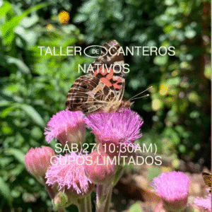 Taller de canteros nativos