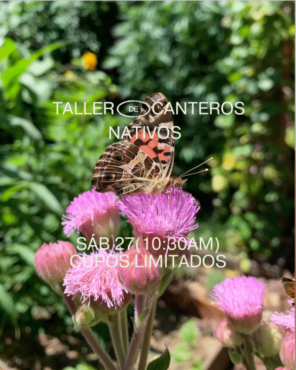 Taller de canteros nativos
