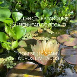 Taller de estanques naturales 30/11