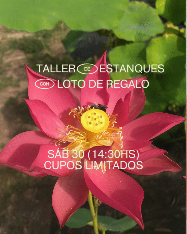 Taller de estanques naturales