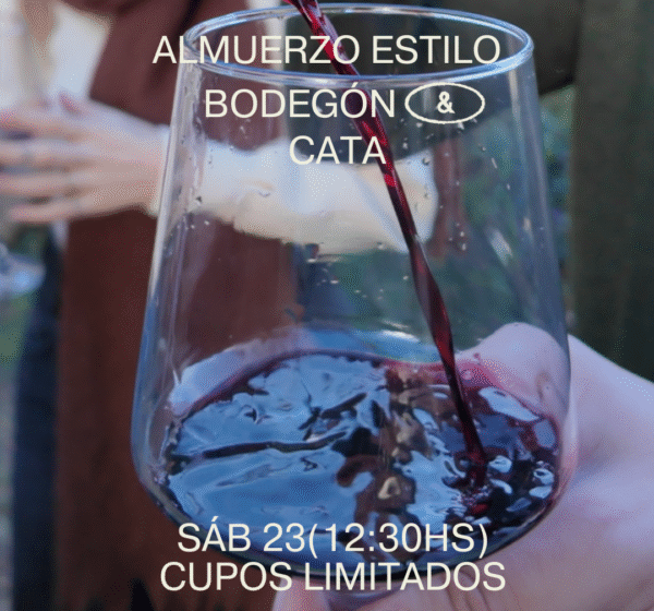 Almuerzo estilo bodegón y cata de vino