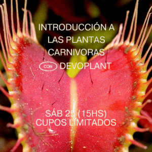 Taller introducción a las plantas carnivoras