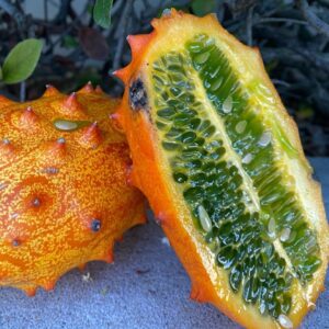 Plantin Kiwano (enredadera frutal)