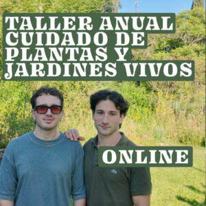 Taller online anual Cuidado de plantas y jardines vivos
