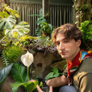 El ABC del cuidado de las plantas