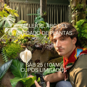 Taller El ABC del cuidado de las plantas
