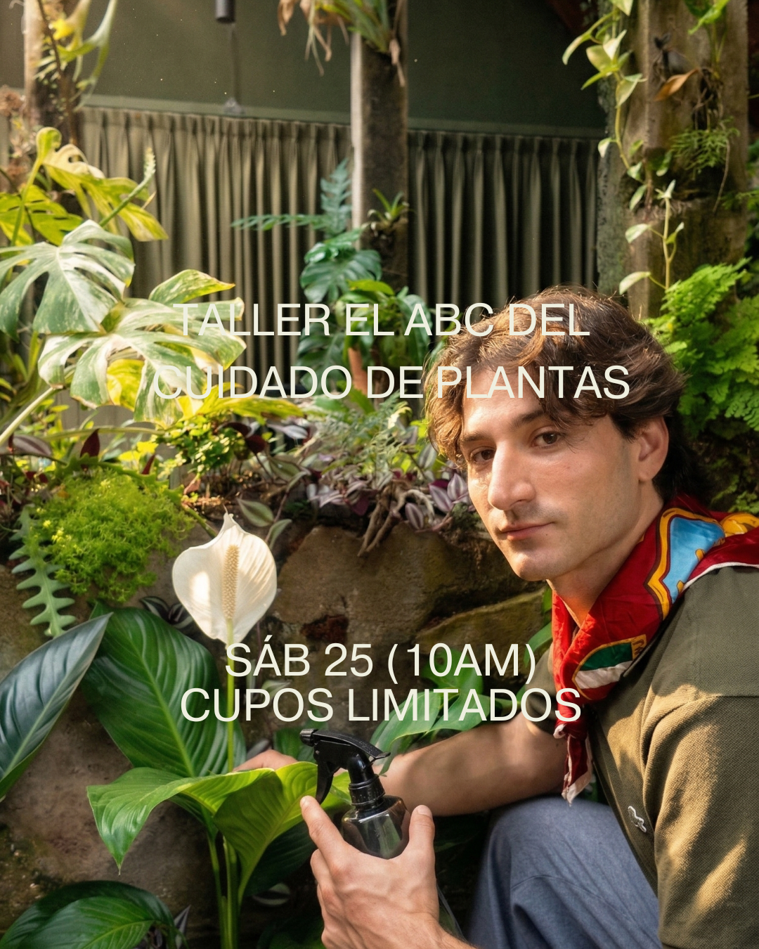 Taller El ABC del cuidado de las plantas