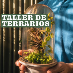 Taller armado de terrarios 30/05
