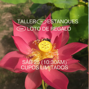 Taller de estanques naturales 25/07